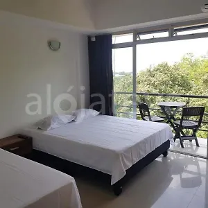 Estudio El Bosque 403 Apartamento